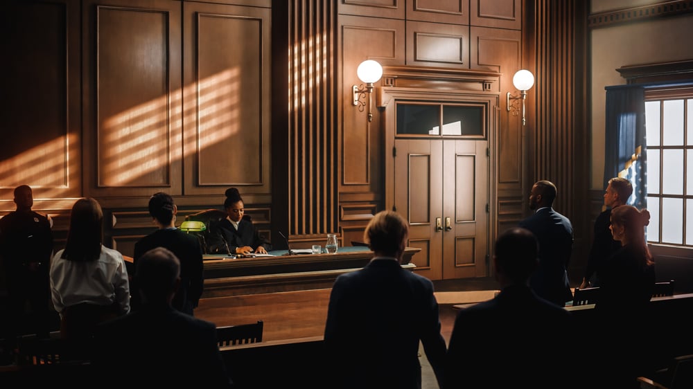 Judge is Sitting, Public Stands.