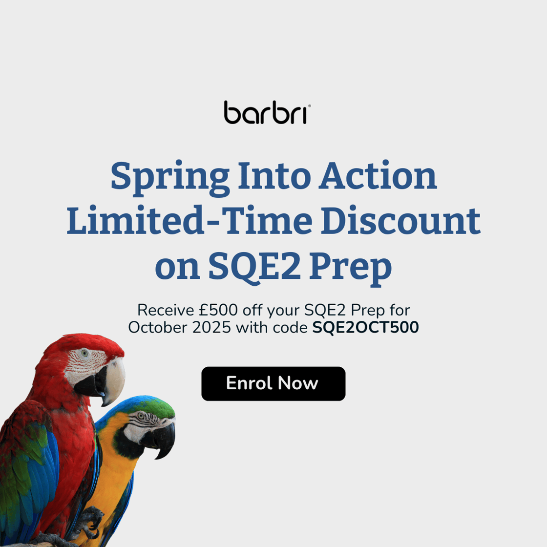 SQE2 Prep Early Bird April 2025 V.1 (1200 x 1200 px)